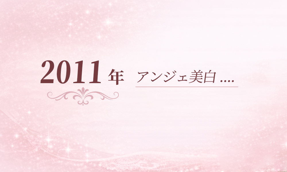 2011年 2011年の記録